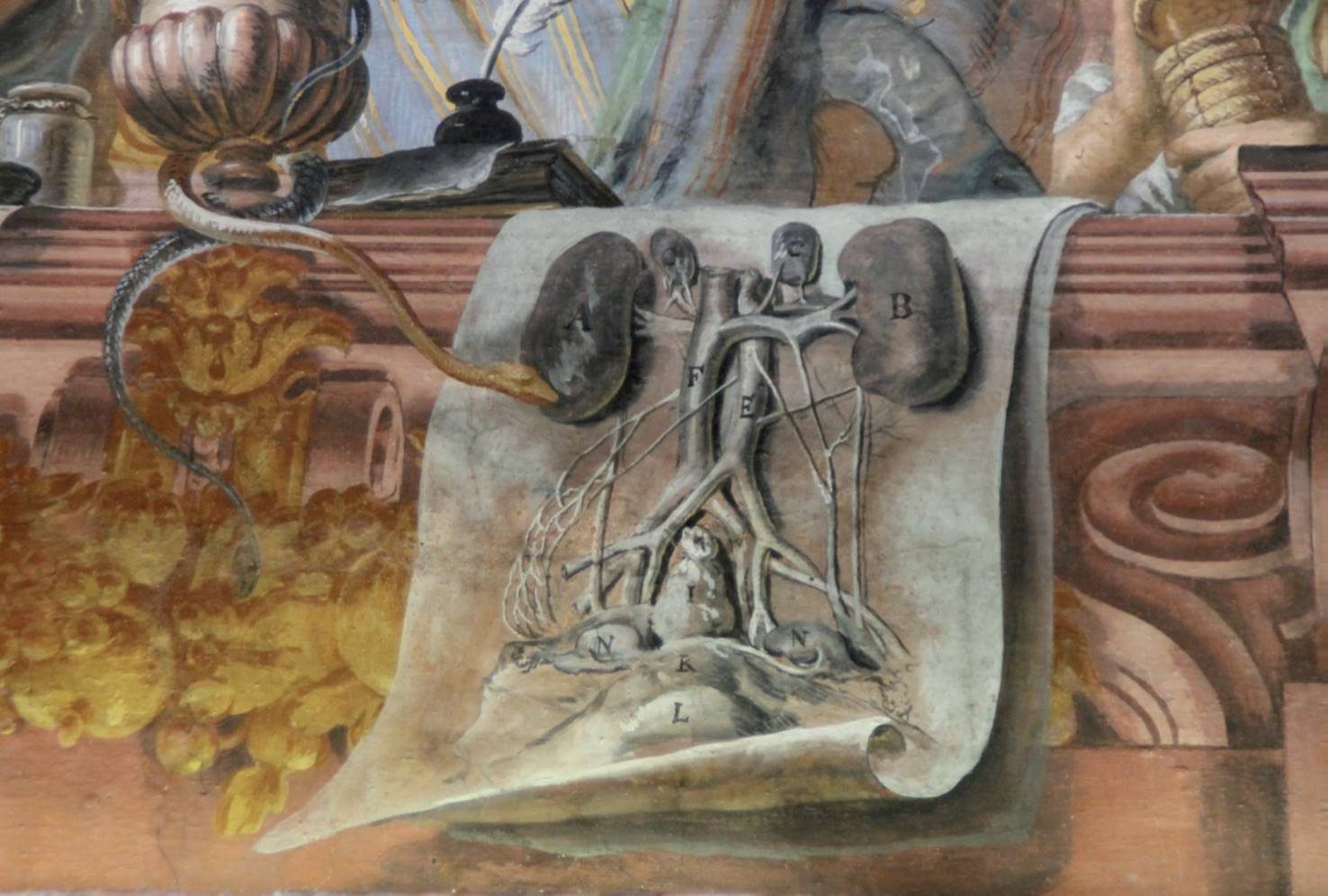 The Personation of Medicine fresco, Rome (by Paola Cosmacini) (3).jpg